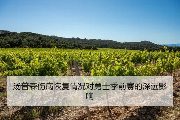 汤普森伤病恢复情况对勇士季前赛的深远影响